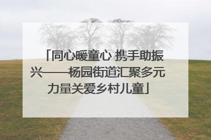 同心暖童心 携手助振兴——杨园街道汇聚多元力量关爱乡村儿童