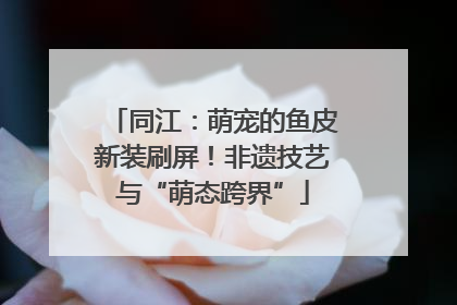 同江：萌宠的鱼皮新装刷屏！非遗技艺与“萌态跨界”