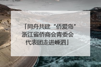 同舟共建“侨爱岛” 浙江省侨商会青委会代表团走进嵊泗