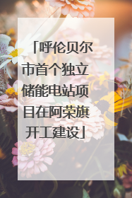 呼伦贝尔市首个独立储能电站项目在阿荣旗开工建设