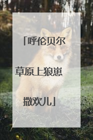 呼伦贝尔草原上狼崽撒欢儿