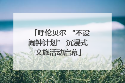 呼伦贝尔 “不设闹钟计划” 沉浸式文旅活动启幕