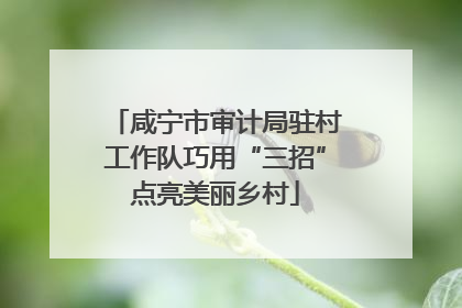 咸宁市审计局驻村工作队巧用“三招”点亮美丽乡村