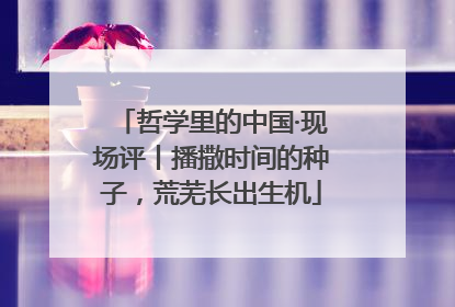 哲学里的中国·现场评丨播撒时间的种子，荒芜长出生机