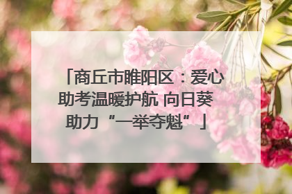 商丘市睢阳区：爱心助考温暖护航 向日葵助力“一举夺魁”
