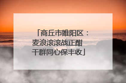 商丘市睢阳区：麦浪滚滚战正酣 干群同心保丰收