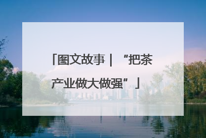 图文故事｜“把茶产业做大做强”