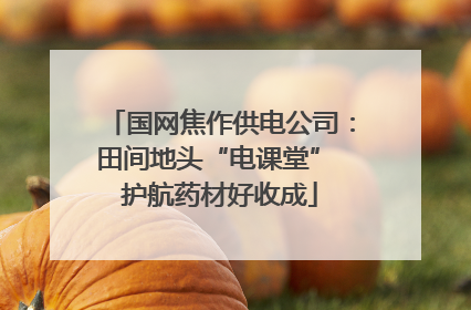 国网焦作供电公司：田间地头“电课堂” 护航药材好收成