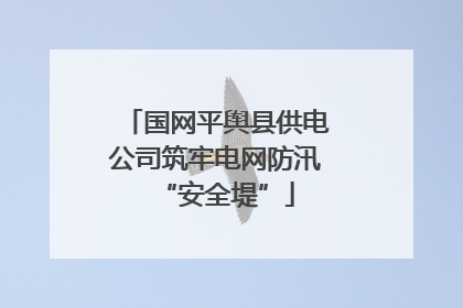 国网平舆县供电公司筑牢电网防汛“安全堤”