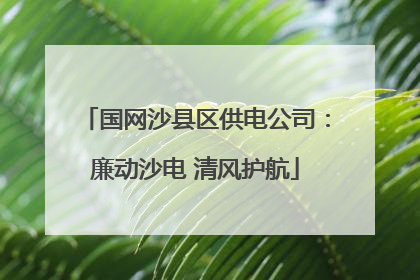 国网沙县区供电公司：廉动沙电 清风护航