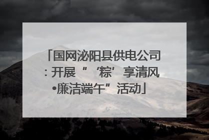 国网泌阳县供电公司：开展“‘粽’享清风 •廉洁端午”活动