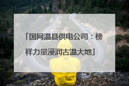 国网温县供电公司：榜样力量浸润古温大地