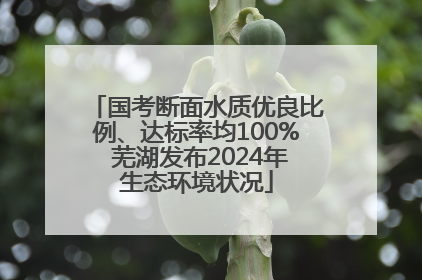 国考断面水质优良比例、达标率均100% 芜湖发布2024年生态环境状况