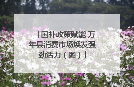 国补政策赋能 万年县消费市场焕发强劲活力（图）