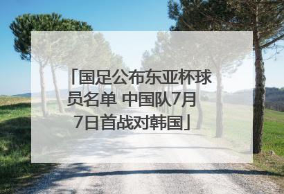 国足公布东亚杯球员名单 中国队7月7日首战对韩国