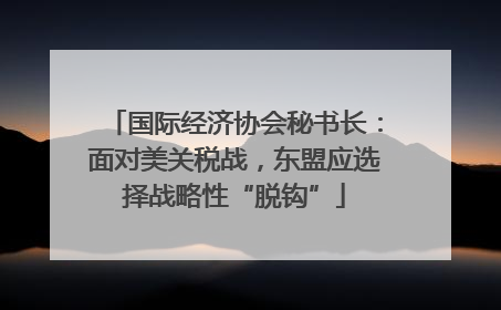 国际经济协会秘书长：面对美关税战，东盟应选择战略性“脱钩”