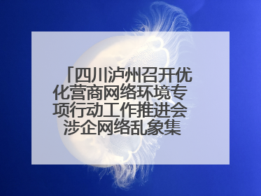 四川泸州召开优化营商网络环境专项行动工作推进会 涉企网络乱象集中整治初见成效