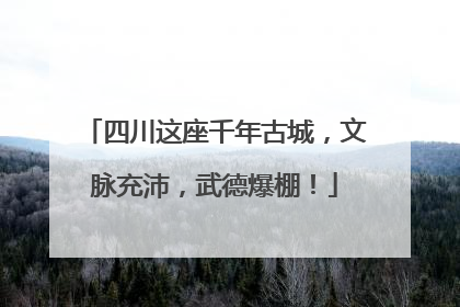 四川这座千年古城，文脉充沛，武德爆棚！