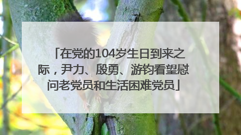 在党的104岁生日到来之际，尹力、殷勇、游钧看望慰问老党员和生活困难党员