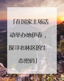 在国家主场活动举办地伊春，探寻老林区的生态密码