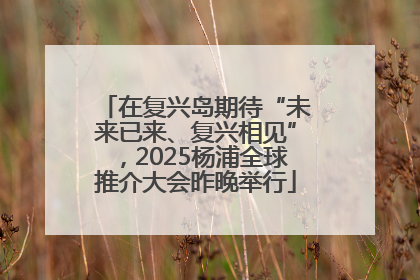 在复兴岛期待“未来已来、复兴相见”，2025杨浦全球推介大会昨晚举行