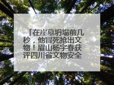 在崖墓坍塌前几秒，他冒死抢出文物！眉山杨宇春获评四川省文物安全守护者