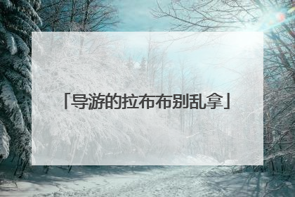 导游的拉布布别乱拿