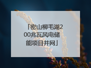 密山柳毛湖200兆瓦风电储能项目并网