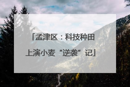 孟津区：科技种田 上演小麦“逆袭”记