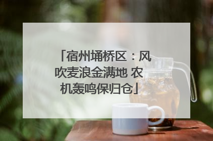 宿州埇桥区：风吹麦浪金满地 农机轰鸣保归仓