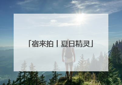 宿来拍丨夏日精灵