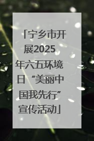 宁乡市开展2025年六五环境日“美丽中国我先行”宣传活动