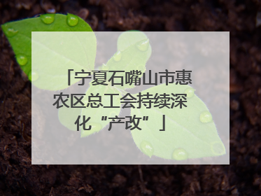 宁夏石嘴山市惠农区总工会持续深化“产改”