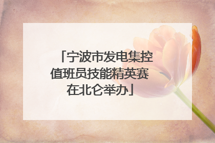 宁波市发电集控值班员技能精英赛在北仑举办