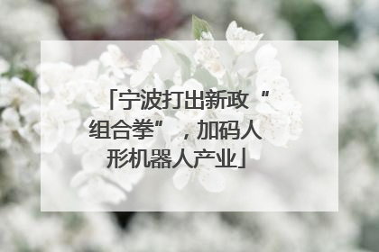 宁波打出新政“组合拳”，加码人形机器人产业