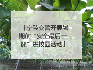 宁陵交警开展暑期前“安全最后一课”进校园活动