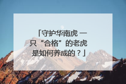 守护华南虎 一只“合格”的老虎是如何养成的？