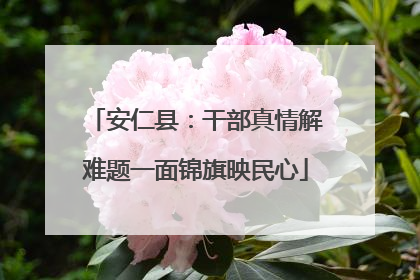 安仁县：干部真情解难题一面锦旗映民心