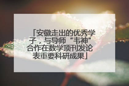 安徽走出的优秀学子，与导师“韦神”合作在数学顶刊发论表重要科研成果