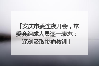 安庆市委连夜开会，常委会组成人员逐一表态：深刻汲取惨痛教训
