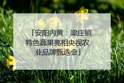 安阳内黄：梁庄镇特色蔬果亮相央视农业品牌甄选会