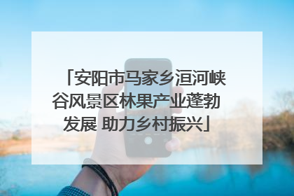 安阳市马家乡洹河峡谷风景区林果产业蓬勃发展 助力乡村振兴