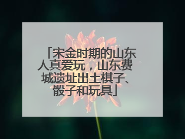 宋金时期的山东人真爱玩，山东费城遗址出土棋子、骰子和玩具