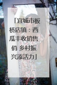 宜城市板桥店镇：西瓜丰收销售俏 乡村振兴添活力