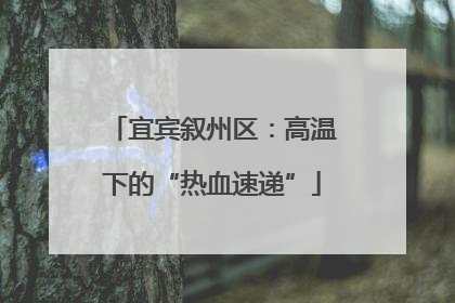 宜宾叙州区：高温下的“热血速递”