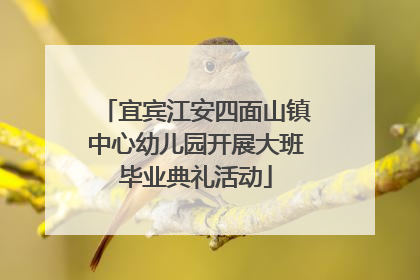宜宾江安四面山镇中心幼儿园开展大班毕业典礼活动