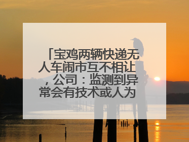 宝鸡两辆快递无人车闹市互不相让，公司：监测到异常会有技术或人为干预处置