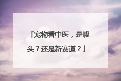 宠物看中医，是噱头？还是新赛道？