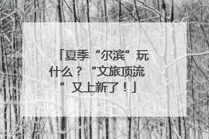 夏季“尔滨”玩什么？“文旅顶流”又上新了！