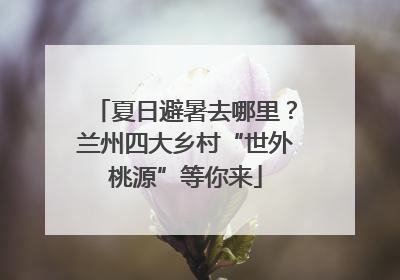 夏日避暑去哪里？兰州四大乡村“世外桃源”等你来